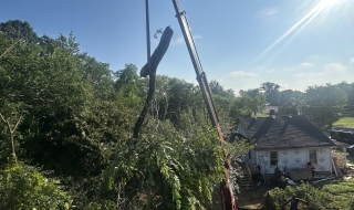 1_Lynchburg-VA-tree-services