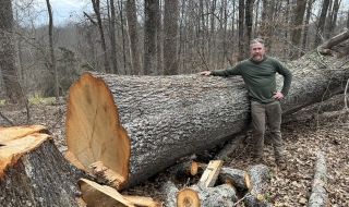 1_tree-service-Lynchburg-VA