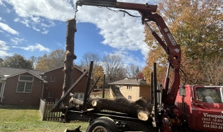 1_tree-service-Lynchburg