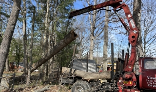 1_tree-services-Lynchburg-VA