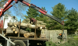 tree-removal-Lynchburg-VA