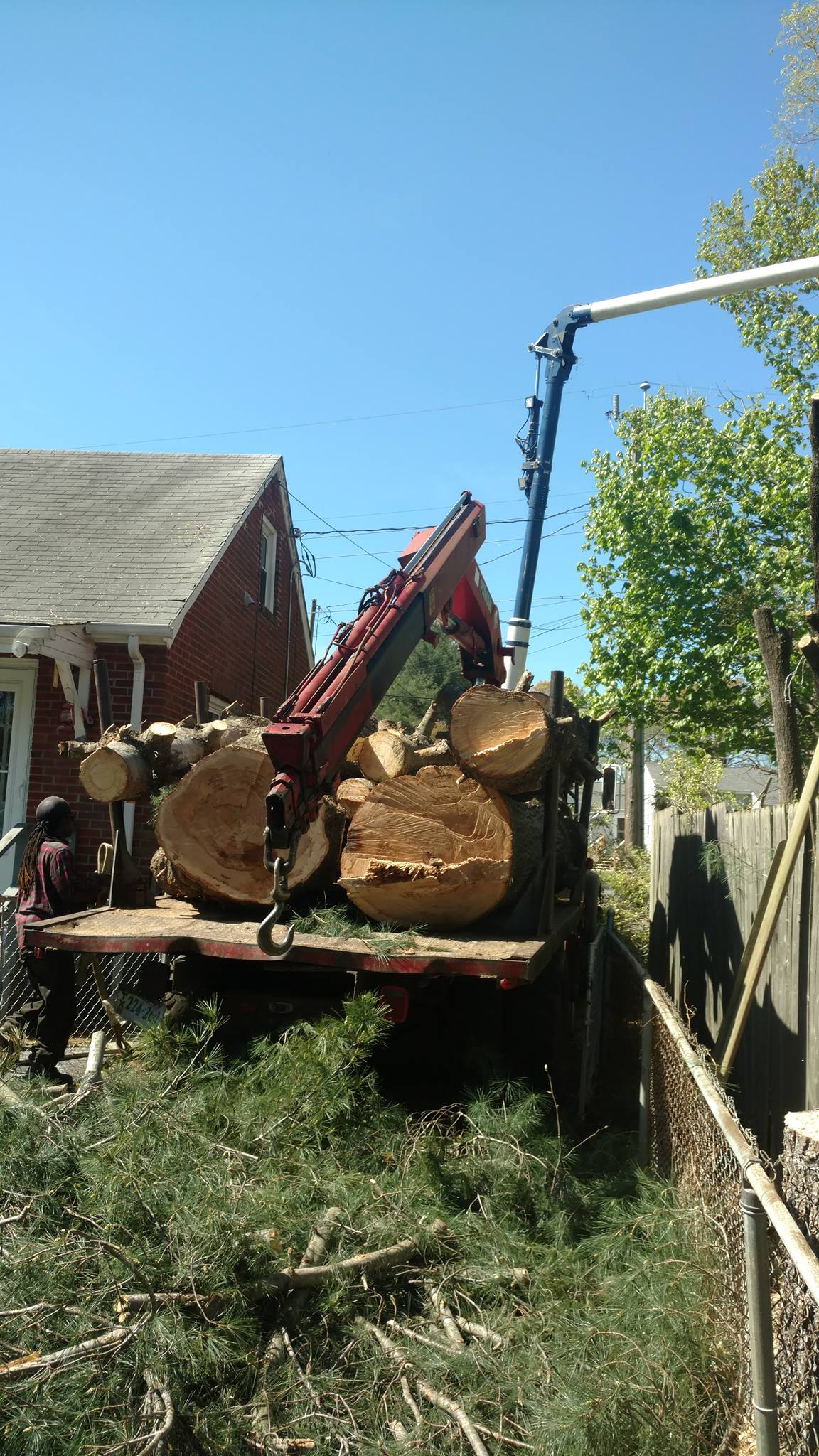 tree-removal-Lynchburg-1
